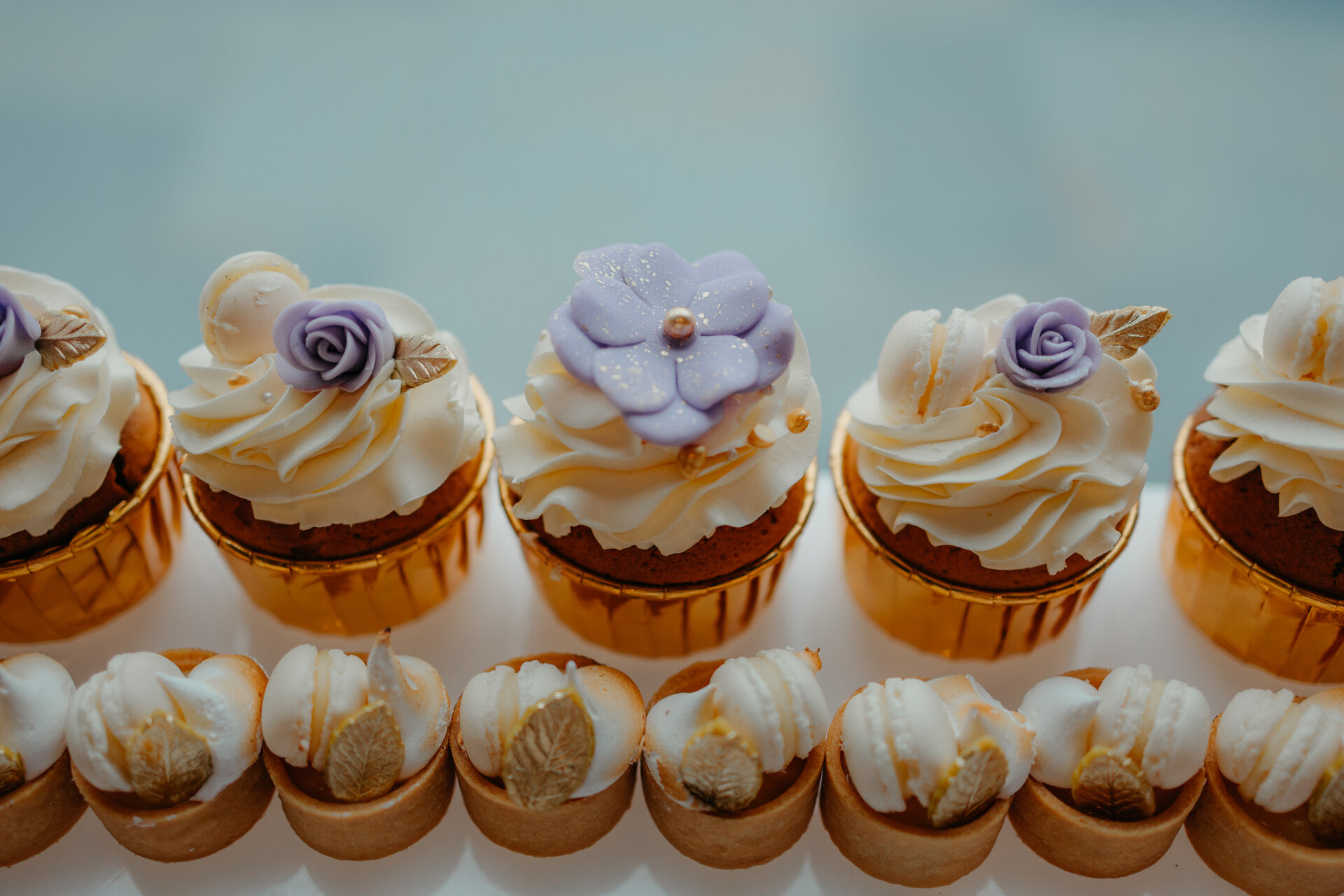Cupcakes lila closeup Ana State Ploiești