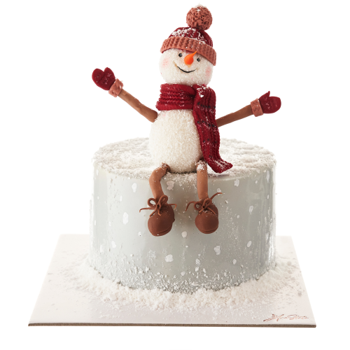 TORT de IARNA cod 002