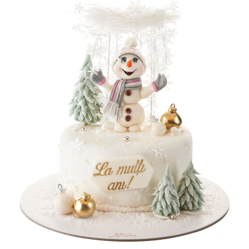 TORT de IARNA cod 004