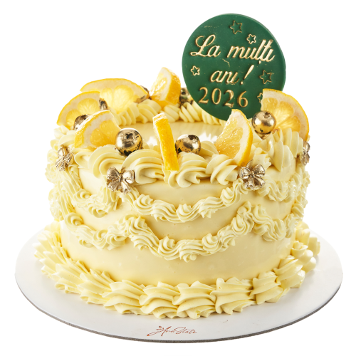 TORT de IARNA cod 009