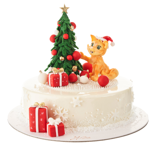 TORT de IARNA cod 010