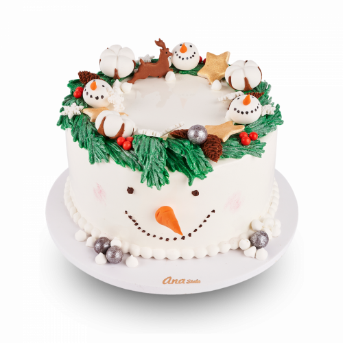 Tort de IARNA cod 035